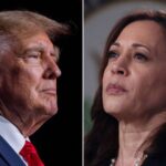 Analysis: The 2024 campaign will now turn on whether Trump can blunt Harris’ soaring startAnalysis: The 2024 campaign will now turn on whether Trump can blunt Harris’ soaring start 