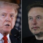 Fact check: Trump made at least 20 false claims in his conversation with Elon MuskFact check: Trump made at least 20 false claims in his conversation with Elon Musk 