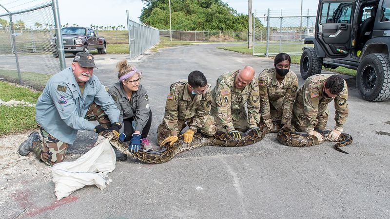 Veterans use Florida’s annual Python Challenge as opportunity to heal from time in serviceVeterans use Florida’s annual Python Challenge as opportunity to heal from time in service 