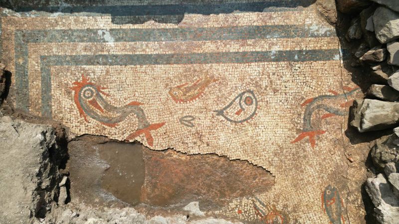 Mosaic buried for thousands of years uncovered by archaeologistsMosaic buried for thousands of years uncovered by archaeologists 