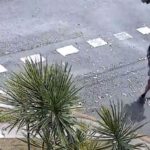 Man flees after allegedly throwing scalding coffee on babyMan flees after allegedly throwing scalding coffee on baby 