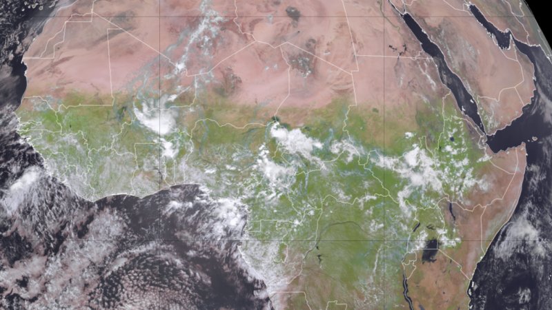 An incredible shift in the weather has turned the Sahara greenAn incredible shift in the weather has turned the Sahara green 