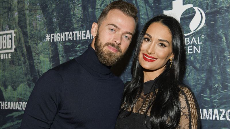 Nikki Bella files for divorce two weeks after Artem Chigvintsev was arrested on suspicion of domestic violenceNikki Bella files for divorce two weeks after Artem Chigvintsev was arrested on suspicion of domestic violence 