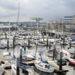 River otter drags child off dock and underwater in rare attack at Washington marinaRiver otter drags child off dock and underwater in rare attack at Washington marina 