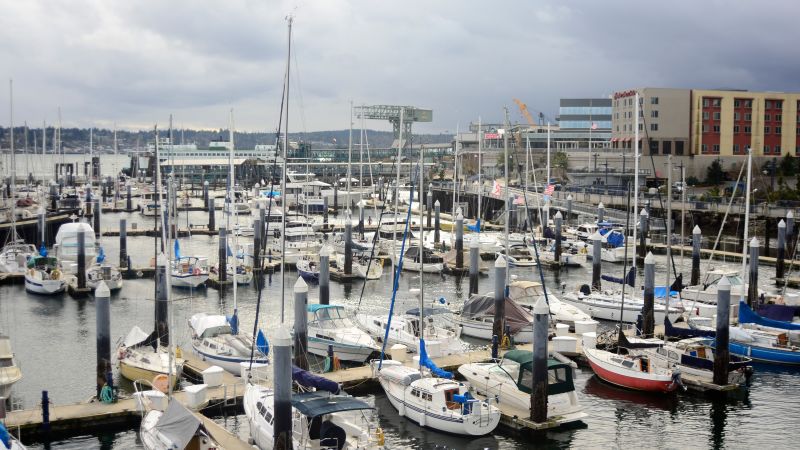 River otter drags child off dock and underwater in rare attack at Washington marinaRiver otter drags child off dock and underwater in rare attack at Washington marina 