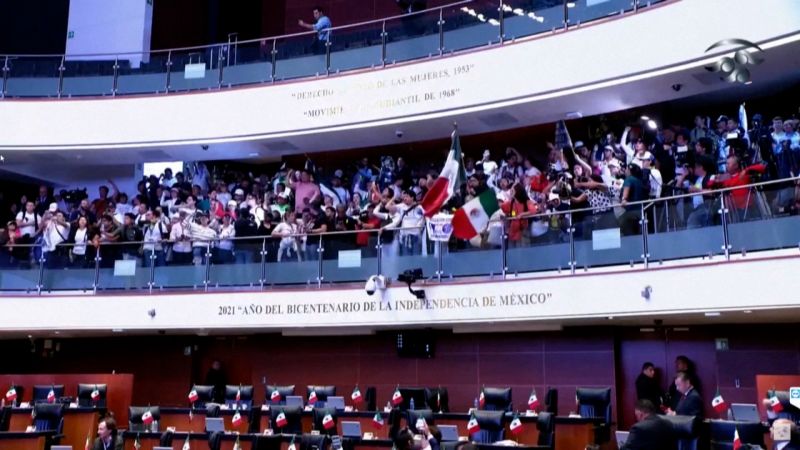 See protesters interrupt Mexico senate debateSee protesters interrupt Mexico senate debate 